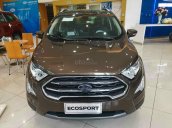 Cần bán Ford EcoSport năm sản xuất 2021 đủ màu xe, đủ phiên bản giao xe ngay