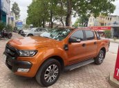 Cần bán lại xe Ford Ranger đời 2016, nhập khẩu