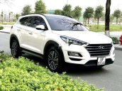 Bán xe Hyundai Tucson sản xuất năm 2019, nhập khẩu