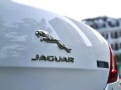 Cần bán xe Jaguar XJL năm 2016, màu trắng, nhập khẩu nguyên chiếc còn mới