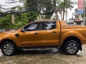 Cần bán gấp Ford Ranger Wildtrak năm 2018, nhập khẩu