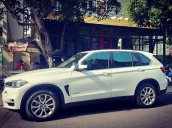 Cần bán xe BMW X5 sản xuất 2014, nhập khẩu nguyên chiếc còn mới