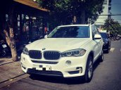 Cần bán xe BMW X5 sản xuất 2014, nhập khẩu nguyên chiếc còn mới