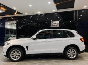 Cần bán xe BMW X5 đời 2015, màu trắng, nhập khẩu 