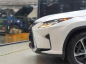 Cần bán gấp Lexus RX 350 năm sản xuất 2016, nhập khẩu nguyên chiếc