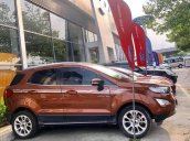 Bán xe Ford EcoSport 2019, màu nâu, 595 triệu