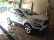 Bán Ford EcoSport năm sản xuất 2019, nhập khẩu còn mới