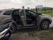 Bán Ford Everest 2018, màu ghi vàng