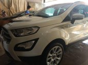 Bán Ford EcoSport năm sản xuất 2019, nhập khẩu còn mới