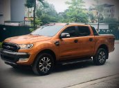 Cần bán xe Ford Ranger sản xuất 2017, nhập khẩu nguyên chiếc