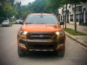 Cần bán xe Ford Ranger sản xuất 2017, nhập khẩu nguyên chiếc