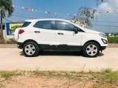 Cần bán Ford EcoSport năm sản xuất 2019 còn mới, 515tr