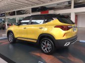 Kia Seltos Luxury 2021, giá chỉ 659 triệu