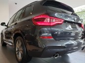 BMW X3 xDrive20i xLine 2020, sẵn xe giao ngay