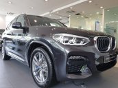 BMW X3 xDrive20i xLine 2020, sẵn xe giao ngay