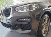 BMW X3 xDrive20i xLine 2020, sẵn xe giao ngay