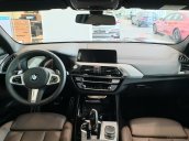 BMW X3 xDrive20i xLine 2020, sẵn xe giao ngay