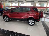 Bán xe Ford EcoSport sản xuất năm 2019 còn mới, giá 455tr