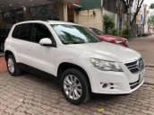 Bán Volkswagen Tiguan sản xuất năm 2010, màu trắng, nhập khẩu nguyên chiếc số tự động