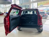 Ford EcoSport 2021 - còn giảm giá sâu