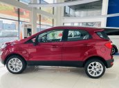 Ford EcoSport 2021 - còn giảm giá sâu