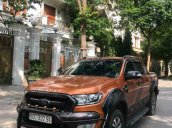 Cần bán xe Ford Ranger Wildtrak 2.2AT sản xuất năm 2016, màu nâu