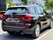 Bán BMW X3 đời 2019, màu nâu, nhập khẩu