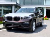 Bán BMW X3 đời 2019, màu nâu, nhập khẩu