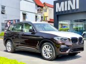 Bán BMW X3 đời 2019, màu nâu, nhập khẩu