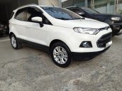 Cần bán Ford EcoSport AT 2 017, Odo: 53.000km giá tốt