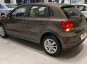 Bán ô tô Volkswagen Polo 1.6 AT sản xuất 2021, màu nâu, xe nhập