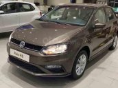 Bán ô tô Volkswagen Polo 1.6 AT sản xuất 2021, màu nâu, xe nhập