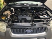 Bán Ford Escape năm sản xuất 2004, xe nhập, màu xanh