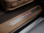 Bán xe Noble Klasse Hi-Limousine nâng cấp Hàn Quốc năm sản xuất 2021