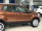 Lạng Sơn bán khuyến mãi Ford EcoSport Titanium 1.5 AT 2021, giảm giá tiền mặt, tặng BHTV, hỗ trợ đăng ký, đăng kiểm