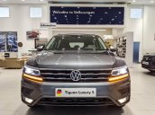 Tiguan Luxury S 2021 - xám Platinum (2R2R) ưu đãi lớn mùa dịch