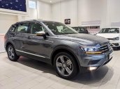 Tiguan Luxury S 2021 - xám Platinum (2R2R) ưu đãi lớn mùa dịch