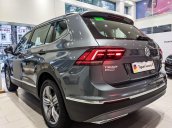 Tiguan Luxury S 2021 - xám Platinum (2R2R) ưu đãi lớn mùa dịch