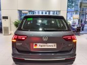 Tiguan Luxury S 2021 - xám Platinum (2R2R) ưu đãi lớn mùa dịch