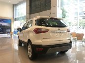 EcoSport 2021 - hỗ trợ bank 80% chỉ cần trả trước 130tr, lăn bánh 689tr, tặng BHTV, phụ kiện