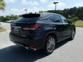 Cần bán xe Lexus RX 350 Luxury sản xuất 2020, màu đen còn mới