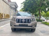 Cần bán Toyota Prado năm sản xuất 2020, màu xám, xe nhập còn mới