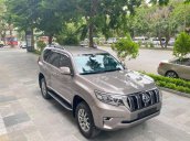 Cần bán Toyota Prado năm sản xuất 2020, màu xám, xe nhập còn mới