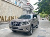 Cần bán Toyota Prado năm sản xuất 2020, màu xám, xe nhập còn mới