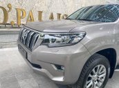 Cần bán Toyota Prado năm sản xuất 2020, màu xám, xe nhập còn mới