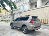 Cần bán Toyota Prado năm sản xuất 2020, màu xám, xe nhập còn mới