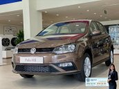 Polo Hatchback 2021 màu nâu hổ phách - Xe nhỏ dành cho đô thị