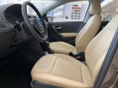 Polo Hatchback 2021 màu nâu hổ phách - Xe nhỏ dành cho đô thị