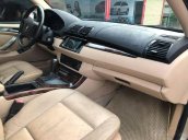 Cần bán gấp BMW X5 đời 2004, màu nâu, 260 triệu