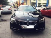 Bán BMW 520i sản xuất năm 2014, màu đen, xe nhập